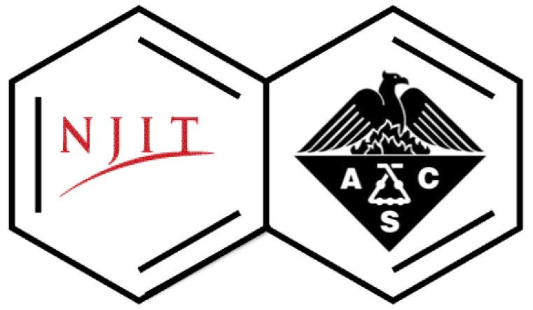 NJIT / North Jersey ACS logos logo