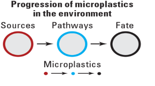 Chemistry of Microplastics and Their Environmental Impact.